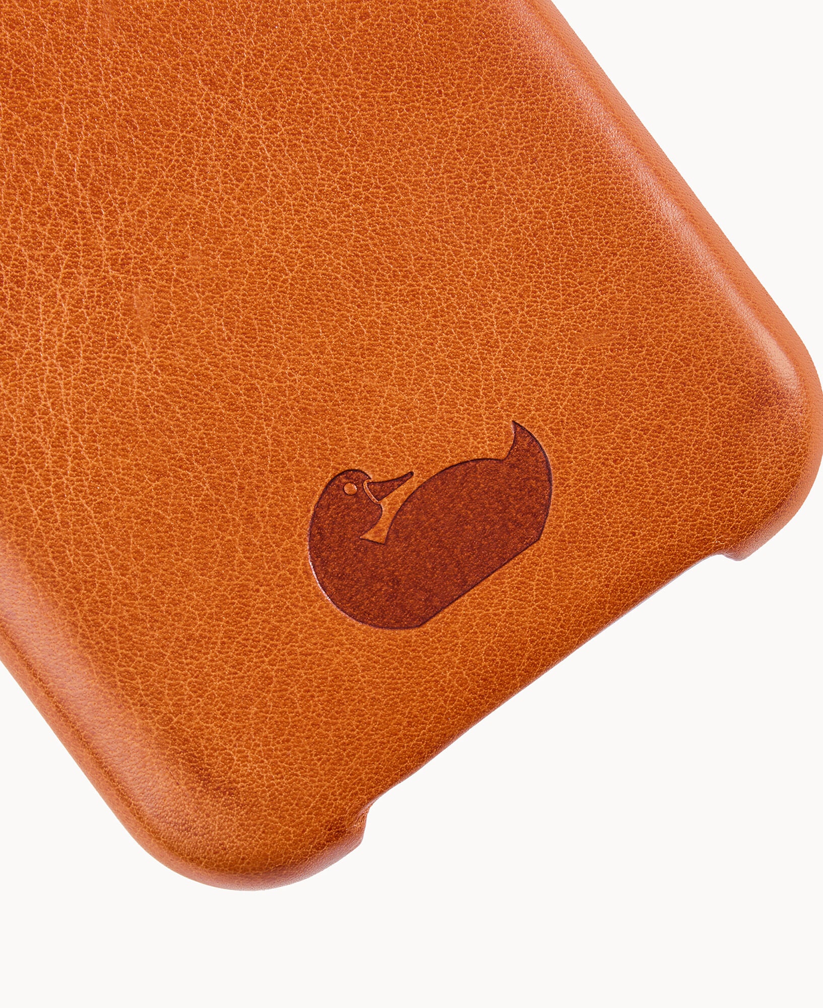 Case for iPhone 15