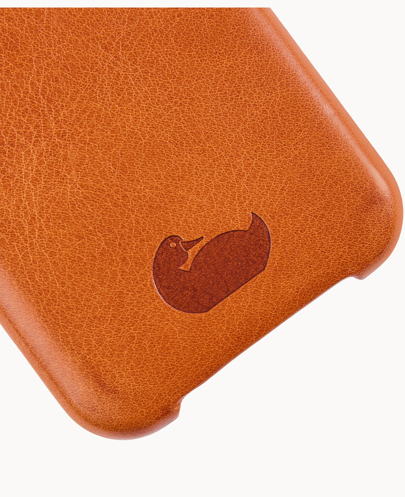 Case for iPhone 16